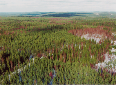 The BAECC campaign took place in a boreal forest environment in Finland.