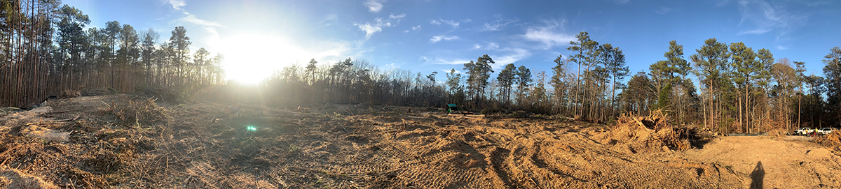 Land is cleared for the Bankhead National Forest atmospheric observatory.