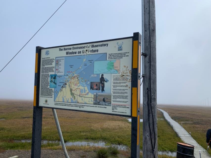 A sign that says, "The Barrow Environmental Observatory Window on the Future," but the word "the" looks to have holes in it. The sign stands before tundra with a boardwalk.
