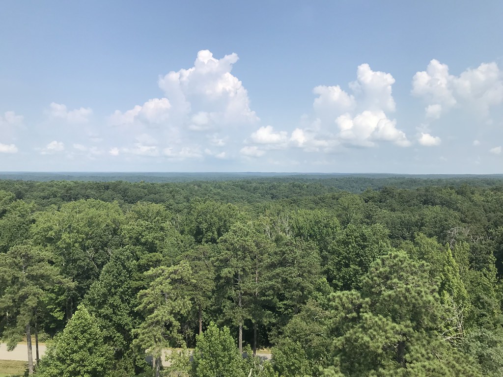 Clouds float above the Bankhead National Forest.