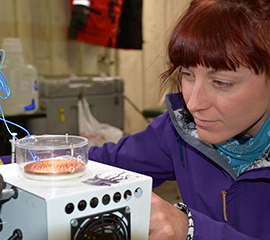 UEC Profile: The Scientist Who Came In From the Cold