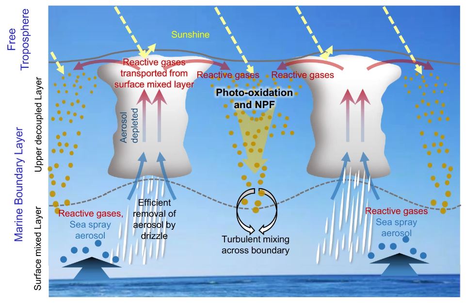 A graphic shows how, in a decoupled marine boundary layer, new particles form in the clear region between broken clouds. 