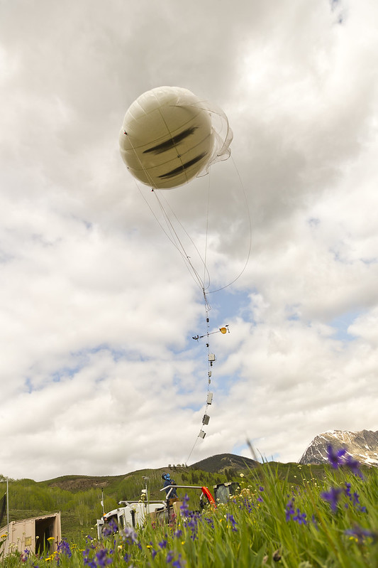 Instruments are strung along the tether of a large balloon aloft in the air. Purple flowers poke out of the grass in the foreground.