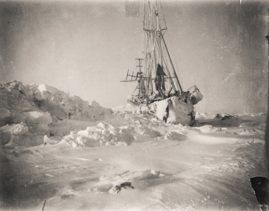 The Fram schooner makes its way through the ice in a black-and-white image.