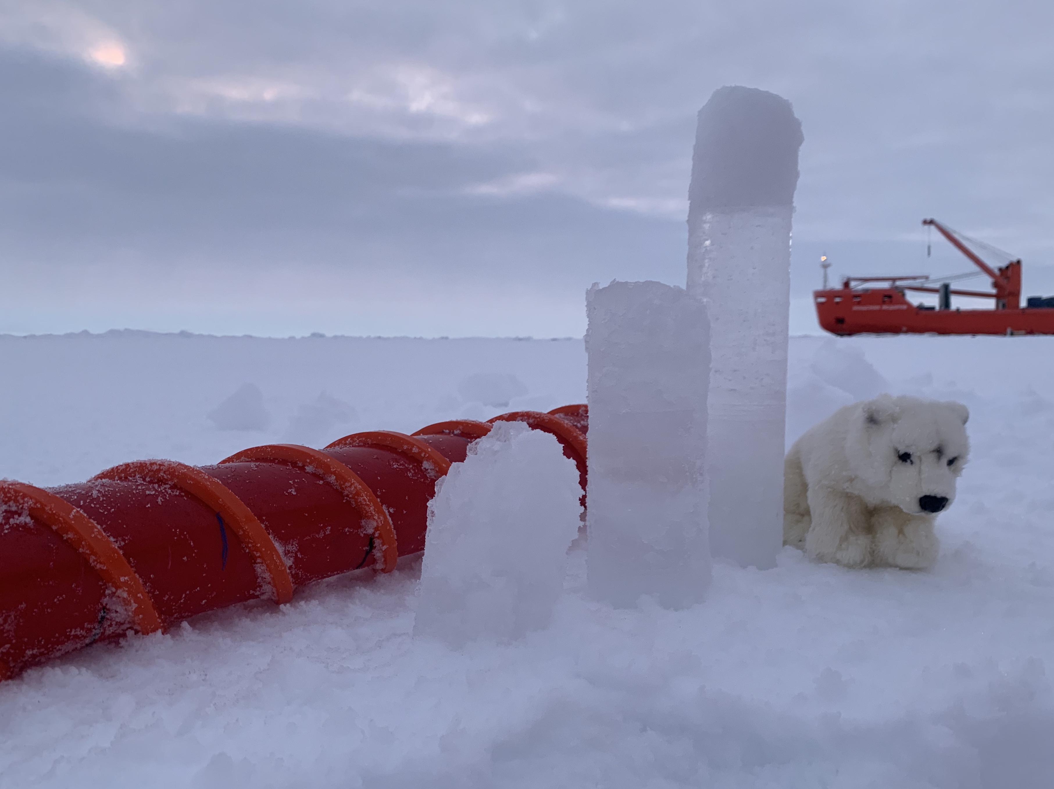 Bjorn, a fuzzy stuffed bear, sits next to sea-ice cores during the MOSAiC expedition