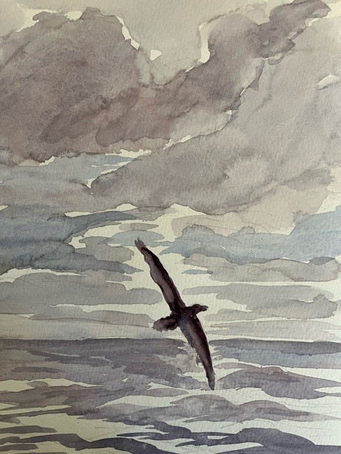 A watercolor by Jay Mace shows a bird flying through the clouds over the Southern Ocean.