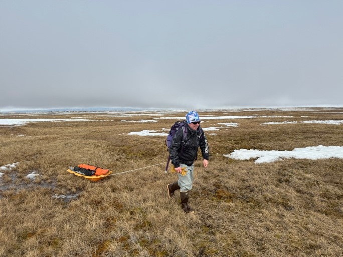 A person tugs a sled across tundra with patches of snow nearby.