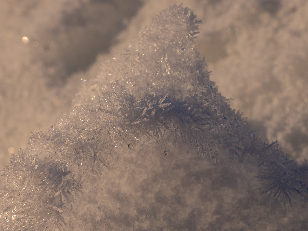 Close-up shot of snow crystals.