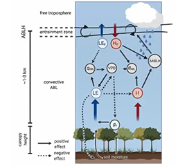 Land-Atmosphere Workshop Connects Scientific Communities