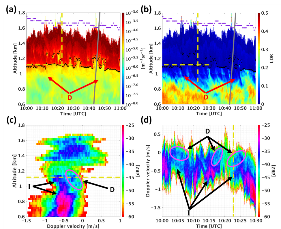 Indications of ice (I) and drizzle (D) are noted in AWARE remote-sensing measurements performed at McMurdo Station on August 16, 2016: (a) high-spectral-resolution (HSRL) backscatter cross-section, (b) HSRL linear depolarization ratio (LDR), (c) vertical profile of the Ka-Band ARM Zenith Radar (KAZR) Doppler spectra at 10:22:47 UTC (Coordinated Universal Time), and (d) KAZR Doppler spectra at 1118 m altitude between 10:00 and 10:30 UTC.